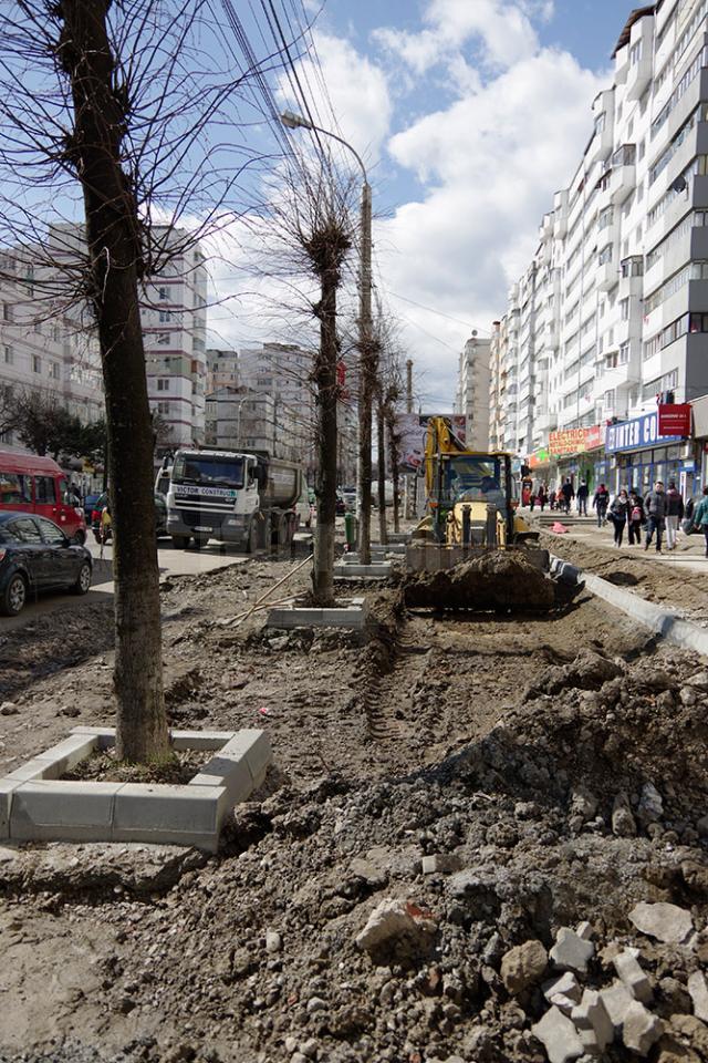 Teii "borduraţi”, soluţia de împăcare a ecologiştilor şi de continuare a modernizării bulevardului George Enescu