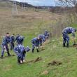 Elevii din anul I ai Şcolii Militare de Subofiţeri Jandarmi Fălticeni au participat la acţiuni de ecologizare a mai multor străzi şi de plantare de puieţi