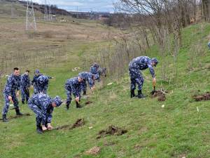 Elevii din anul I ai Şcolii Militare de Subofiţeri Jandarmi Fălticeni au participat la acţiuni de ecologizare a mai multor străzi şi de plantare de puieţi