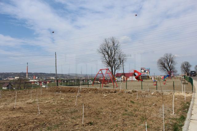 Locuitorii cartierului de case au plantat zeci de arbori în jurul locului de joacă, pentru a crea un miniparc