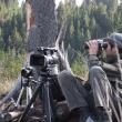 Documentare în genul celor de la Discovery, realizate de doi fraţi din Fundu Moldovei în pădurile judeţului, pentru a promova bogăţiile Bucovinei
