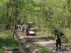 Mobilizare de forţe pentru transformarea celui mai mare spaţiu verde al Sucevei într-un parc care să fie căutat de suceveni