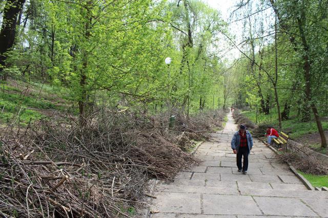 Mobilizare de forţe pentru a le reda sucevenilor dornici să iasă în natură parcul Şipote