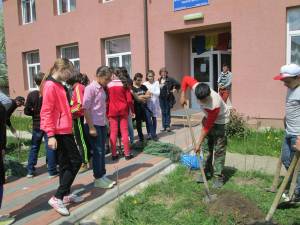 Peste 60 de elevi şi adulţi au participat la amenajarea spațiului verde din fața unei şcoli din Vicovu de Sus