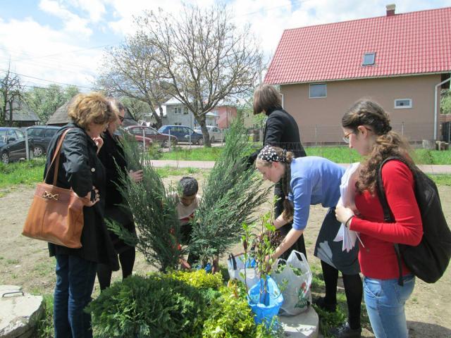 Peste 60 de elevi şi adulţi au participat la amenajarea spaţiului verde din faţa unei şcoli din Vicovu de Sus