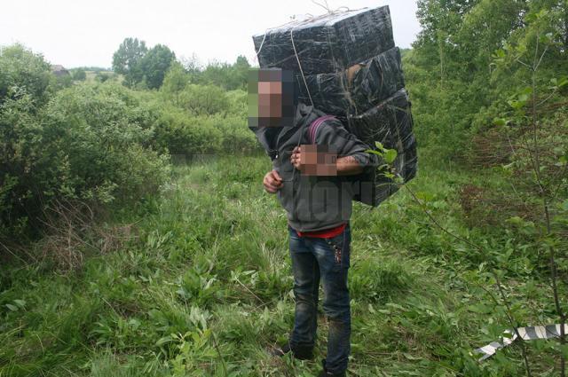 Peste 20.000 de pachete de ţigări de contrabandă, confiscate la Brodina, Vicovu de Sus şi Siret