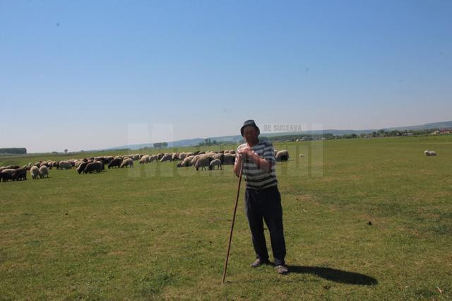 Eugen Scurtu:” Eu ce să fac cu oile , tre să le vând, să le duc în abator... de ce să mă apuc la 56 de ani?”