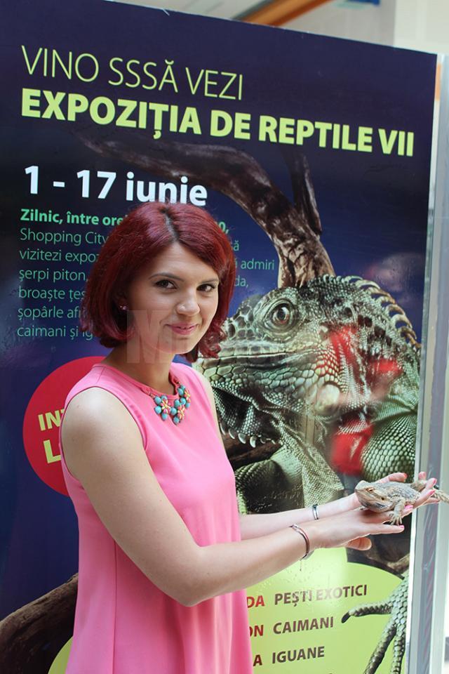 Ţestoase carnivore şi şerpi de peste 5 metri, pe culoarele Shopping City Suceava