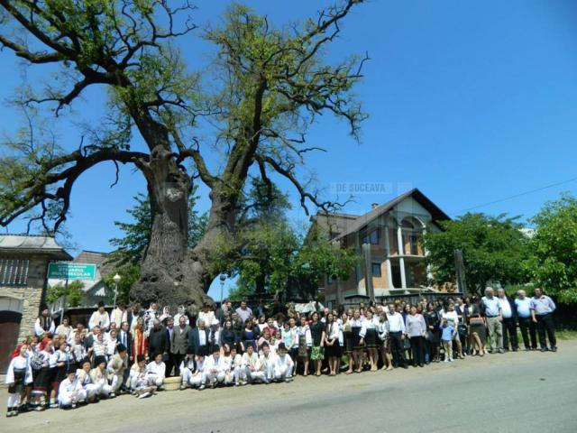 „Arborii ocrotiţi, simbol al vitalităţii, diversităţii şi frumuseţii”, ediţia a II-a, la Liceul Tehnologic Cajvana