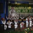 Peste 600 de tineri artişti au participat la Festivalul „Sărbătoarea de sub brazi” din Adâncata