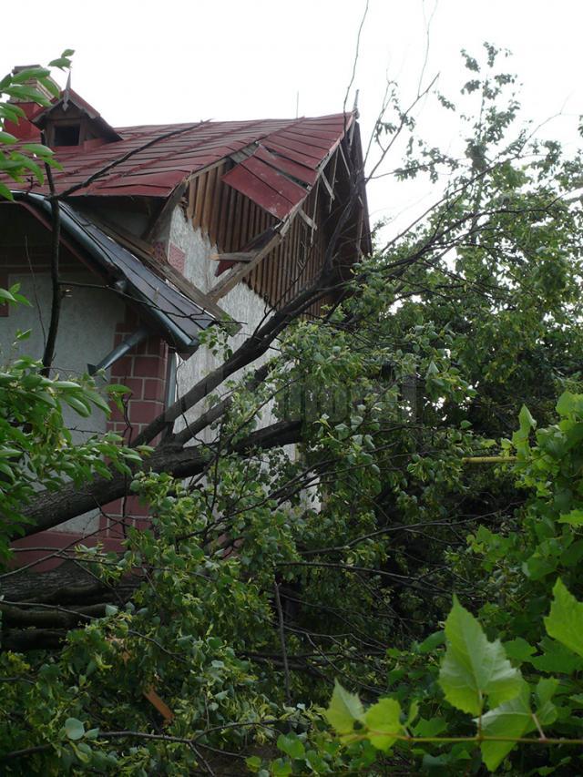 La Casa Memorială Mihail Sadoveanu un tei din curte s-a prăbuşit peste imobil, afectând acoperişul casei şi o conductă de gaz metan