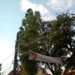 Tornada a purtat acoperişul peste copacii înalţi de aproape 20 de metri de pe marginea şoselei