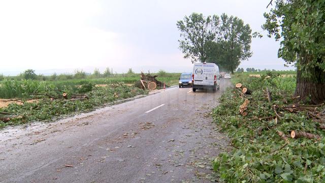 Doi tineri arşi, o bătrână omorâtă de trăsnet, iar doi soţi, la spital, după ce casa li s-a făcut scrum tot de la un fulger