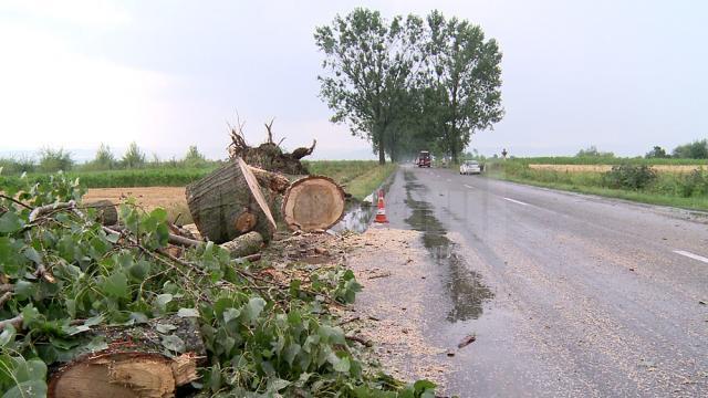 Doi tineri arşi, o bătrână omorâtă de trăsnet, iar doi soţi, la spital, după ce casa li s-a făcut scrum tot de la un fulger