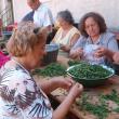 În comunitatea armeană suceveană a început prepararea hurutului, ingredientul special pentru supa de urechiuşe