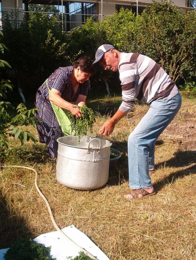 În comunitatea armeană suceveană a început prepararea hurutului, ingredientul special pentru supa de urechiuşe