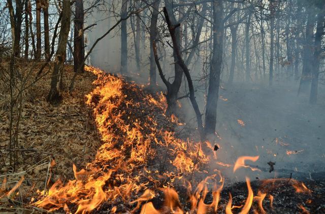 Cinci incendii de vegetaţie, care au cuprins peste zece hectare, în patru zile