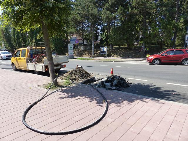 O avarie la reţeaua electrică de pe strada Universităţii din municipiul Suceava a lăsat fără curent electric, timp de mai bine de 24 de ore, două dintre restaurantele din zonă