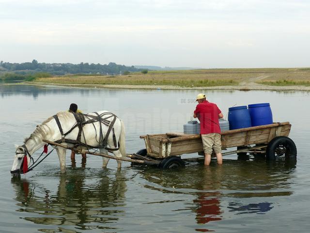 Oamenii care apă cu butoaiele din râul Suceava