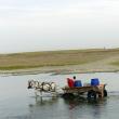 Fântâni secate, apă cărată cu butoaiele din râuri şi animale vândute pe doi lei, imaginea de coşmar din satele sucevene