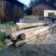 De la Botoşani, la Liteni, cu două căruţe pline de lemne fără documente de provenienţă