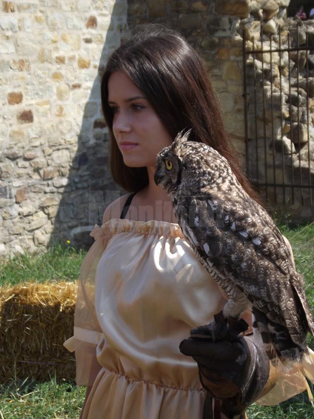 Festivalul de Artă Medievală „Ştefan cel Mare”