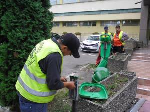 Cele 500 de coşuri de gunoi stradale sunt puse de Diasil, în baza contractului încheiat cu Primăria Suceava