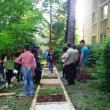 Singura alee terapeutică din regiunea de Nord-Est a fost amenajată la Colegiul „Petru Rareş” de voluntari din Ciumârna