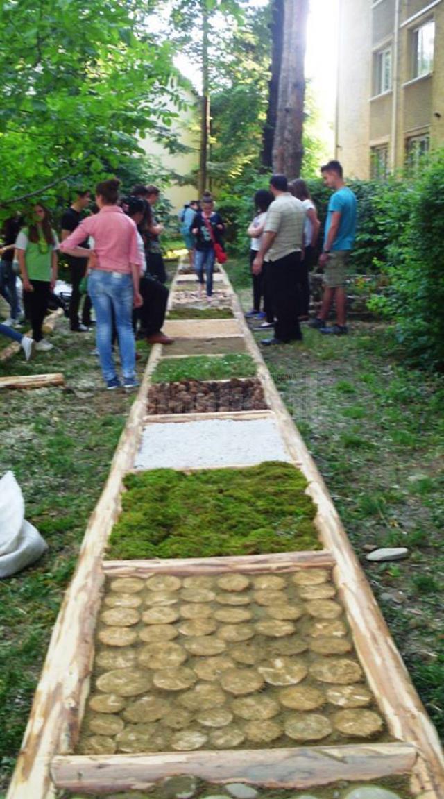 Singura alee terapeutică din regiunea de Nord-Est a fost amenajată la Colegiul „Petru Rareş” de voluntari din Ciumârna