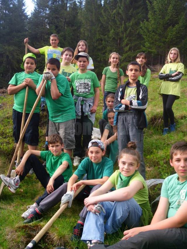 Singura alee terapeutică din regiunea de Nord-Est a fost amenajată la Colegiul „Petru Rareş” de voluntari din Ciumârna