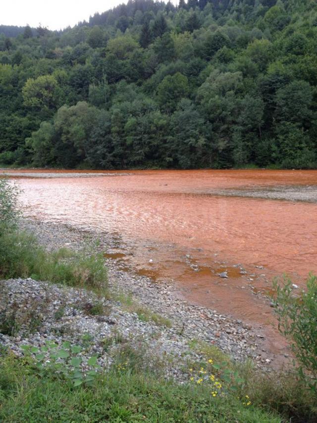 Timp de două ore, din fosta mină Isipoaia, care a aparţinut de Leşu Ursului, s-au scurs aluviuni care au contaminat grav râul Bistriţa