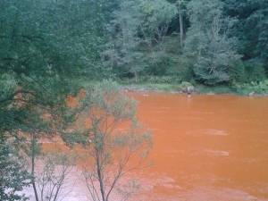 Poluarea masivă de pe râul Bistriţa din după-amiaza zilei de 26 august se pare că nu are nici un vinovat