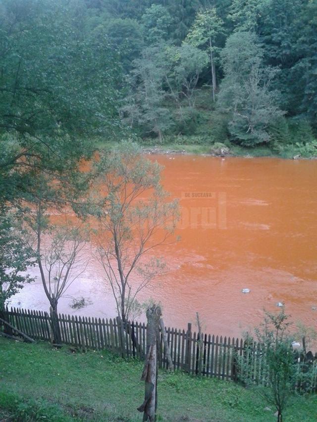 Poluarea masivă de pe râul Bistriţa din după-amiaza zilei de 26 august se pare că nu are nici un vinovat