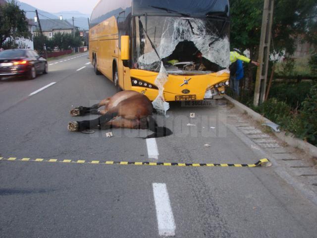 Accident mortal pe DN 17, la Vama, din cauza unui cal lăsat nesupravegheat în mijlocul drumului