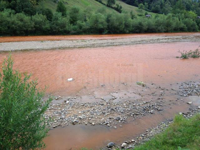 Poluarea de săptămâna trecută, când milioane de litri de apă uzată au ajuns în râul Bistriţa