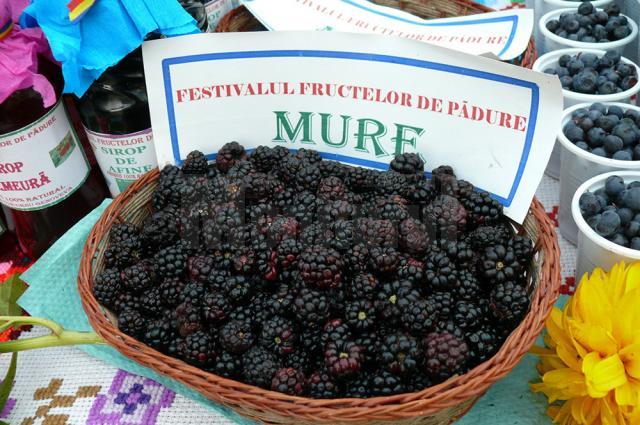 A X-a ediţie a Festivalului Fructelor de Pădure de la Coşna