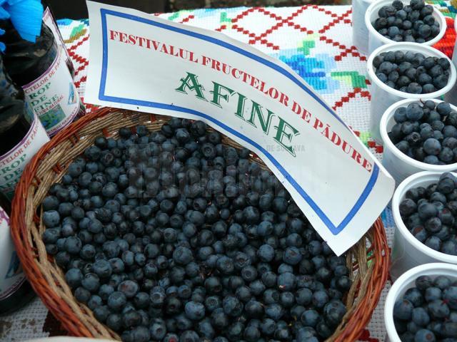 A X-a ediţie a Festivalului Fructelor de Pădure de la Coşna