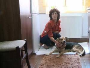 Rex a fost tratat de un medic veterinar şi este îngrijit de Maria Cîrlingeanu care a decis să-l salveze