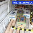 Ultima modă în materie de contrabandă: ţigări cu prune