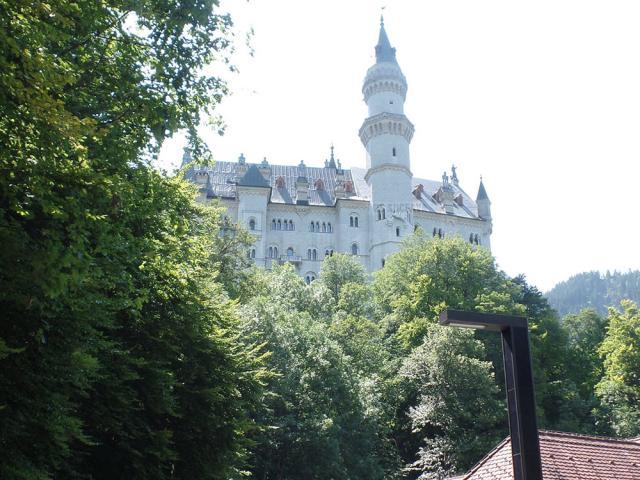 Profesorul Laub, un pribeag fericit