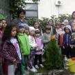 Campania ,,Plant a tree for peace’’ 2015, la Grădiniţa „Aşchiuţă”