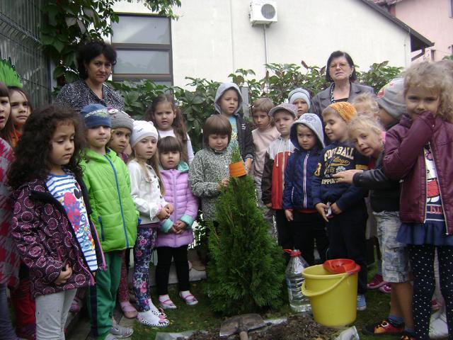 Campania ,,Plant a tree for peace’’ 2015, la Grădiniţa „Aşchiuţă”