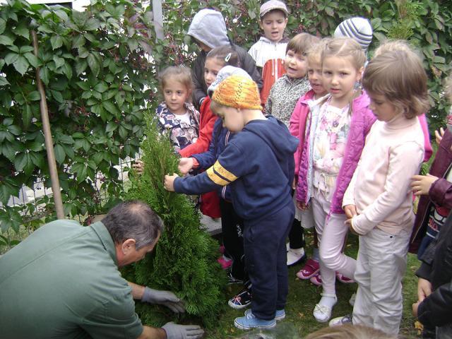 Campania ,,Plant a tree for peace’’ 2015, la Grădiniţa „Aşchiuţă”