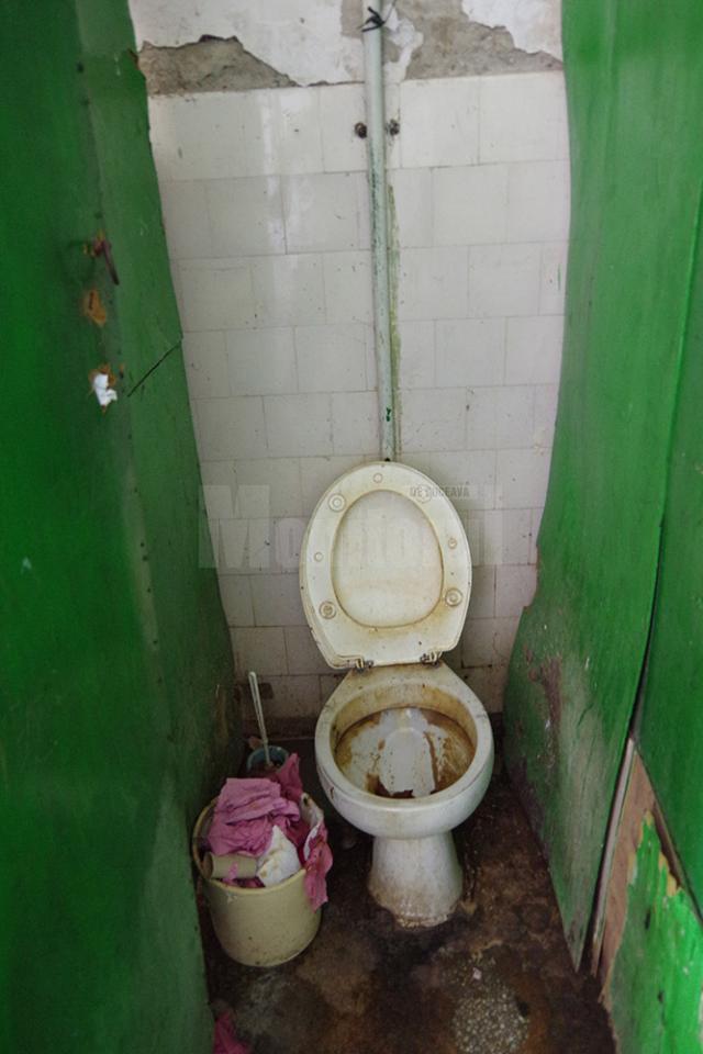 Toalete infecte, băi fără chiuvete şi ţevi ruginite pe post de duşuri - imaginea sinistră din căminul social al Primăriei Suceava