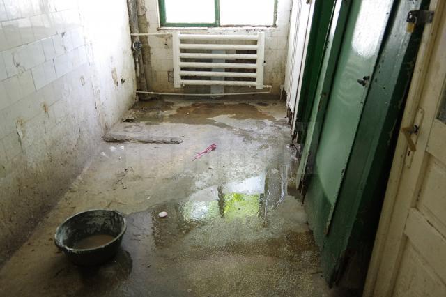 Toalete infecte, băi fără chiuvete şi ţevi ruginite pe post de duşuri - imaginea sinistră din căminul social al Primăriei Suceava