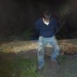 Un bărbat care tăia copaci în miez de noapte, prins de jandarmi şi silvicultori