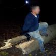 Un bărbat care tăia copaci în miez de noapte, prins de jandarmi şi silvicultori