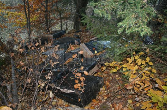 Aproape 25.000 de pachete cu ţigări de contrabandă, confiscate de poliţiştii de frontieră într-o singură zi