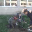 Elevii Colegiului Tehnic „Alexandru Ioan Cuza” au plantat arbori în curtea şcolii