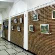 Expoziţia TAG - Reverenţă la Universitatea „Ştefan cel Mare”